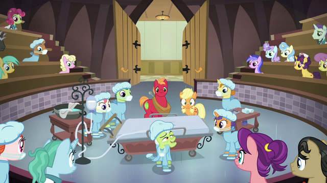 File:Granny Smith offers to tell another story S6E23.png