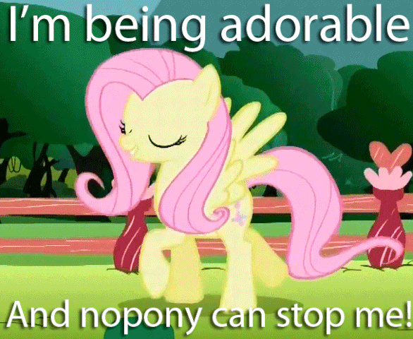 File:FANMADE Adorable Fluttershy.gif
