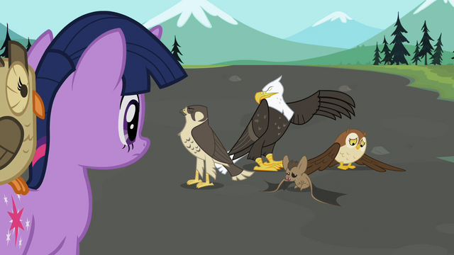 File:Twilight sees the flyers S2E07.png