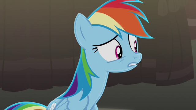 File:Rainbow feeling overwhelmed S4E21.png