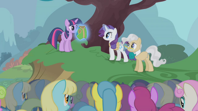 File:Presenting special vest to Twilight S1E11.png