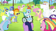 Rainbow -no way I can fly now- S4E10.png