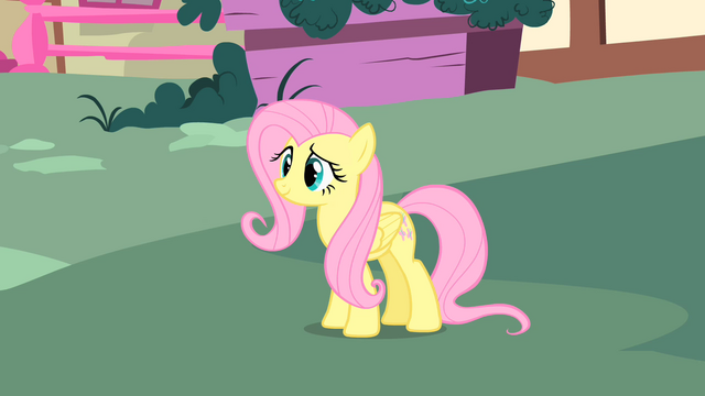 File:Slightly confused Fluttershy S1E17.png