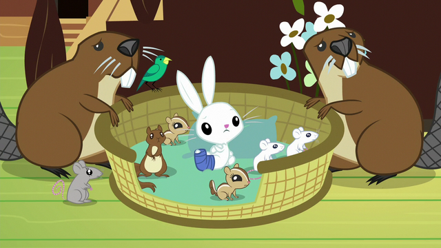 File:Angel and scared animals listen to Fluttershy S7E5.png