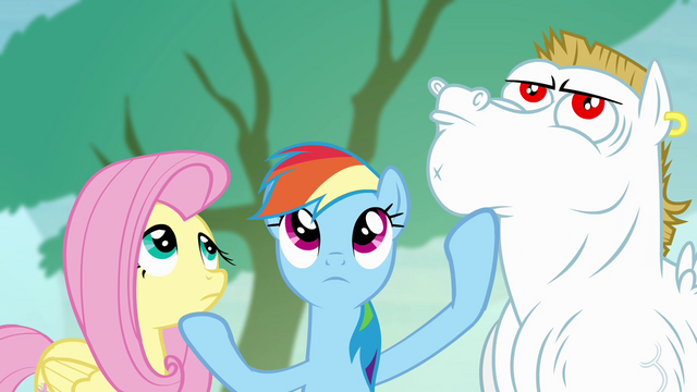 File:Rainbow wants Bulk and Fluttershy to look up S4E10.png