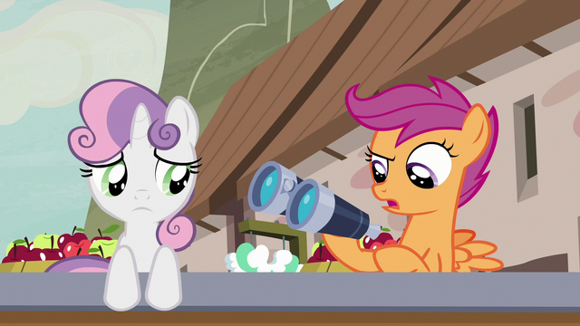 File:Scootaloo "shouldn't have taken the binoculars" S7E8.png