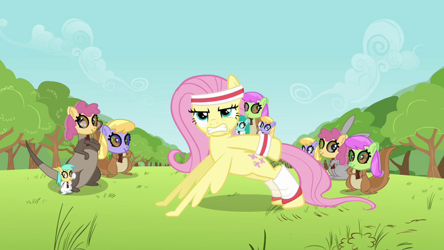 File:Fluttershy Pushup S02E22.png