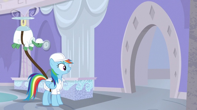 File:Rainbow looks at something S5E5.png