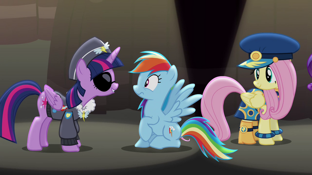 File:Rainbow sees Twilight S4E21.png