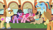 Pinkie's Accusal.jpg
