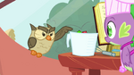 Owlowiscious pointing at jug S3E11.png