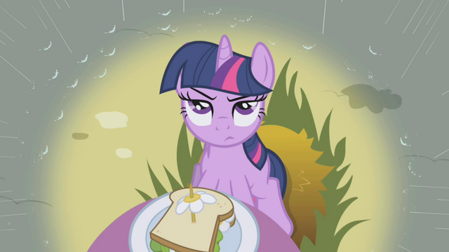 File:Twilight skeptical of Rainbow Dash S1E03.png