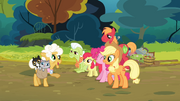 Goldie meets Pinkie and the Apples S4E09
