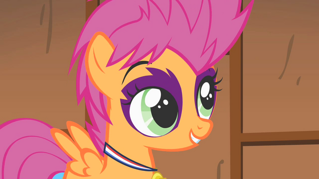 File:Scootaloo's report S1E18.png