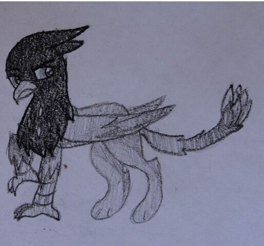 File:FANMADE Black Griffon OC.jpg