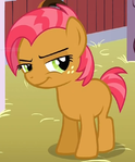 File:Babs Seed ID S3E4.png