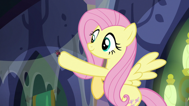 File:Fluttershy places a spider on the web S6E21.png