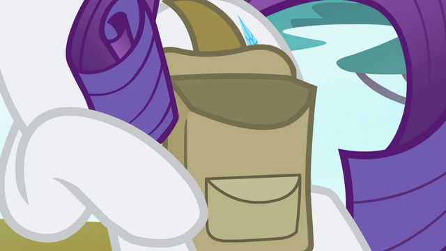 File:Rarity's empty saddlebag S4E23.png