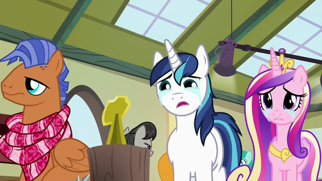 File:Shining Armor and Cadance looking at shield stand S7E3.png