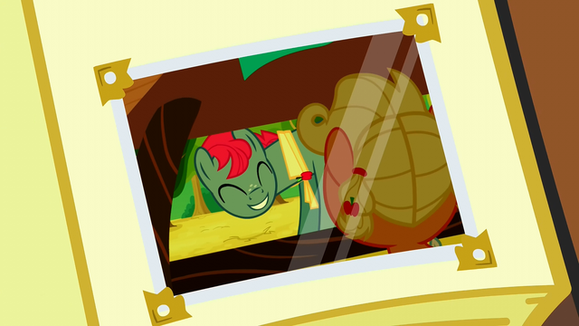 File:Smiling at filly Applejack photo S3E8.png