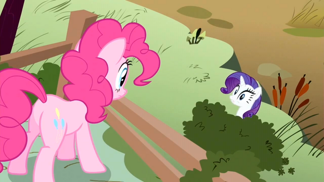 File:Rarity, Do something! S2E19.png