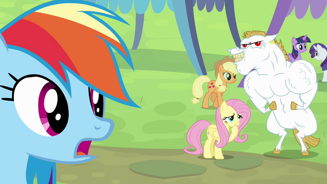 File:Rainbow 'to be at my best' S4E10.png