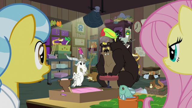 File:Surprised animals looking at Fluttershy S7E5.png