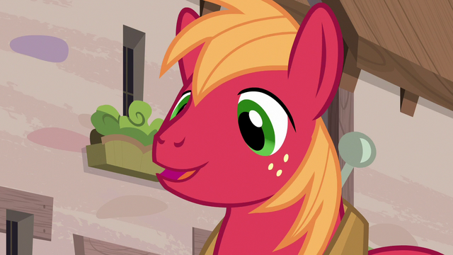 File:Big McIntosh "you think so?" S7E8.png