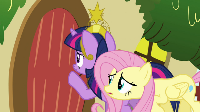 File:Twilight and Fluttershy worried about Rainbow Dash S03E13.png