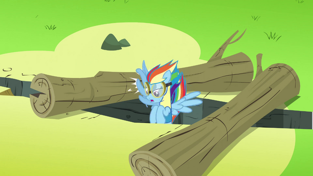 File:Rainbow Dash going between 2 logs S3E7.png