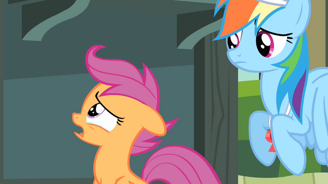 File:Scootaloo 'just because I couldn't fly' S4E05.png