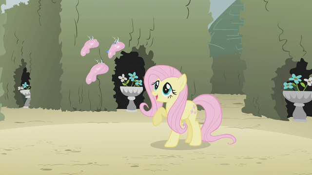 File:Fluttershy denies that her friends left her S2E01.png
