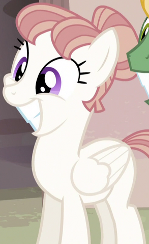 File:UPM4 ID S5E1.png