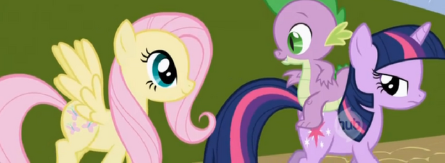 Fil:Fluttershytwilightögon.png