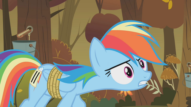 File:StrugglingRainbow S01E13.png