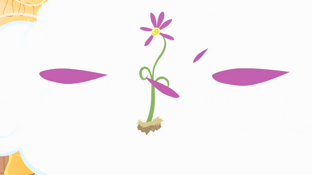 File:Flower petals drop S4E11.png