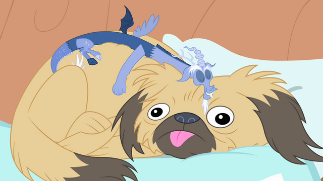 File:Discord on a dog S4E11.png