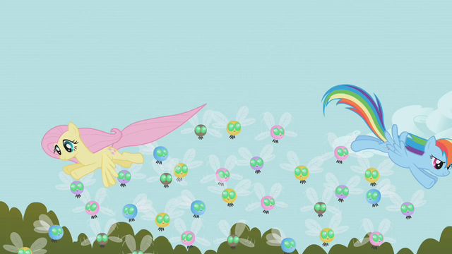 File:Fluttershy and Rainbow Dash herding Parasprites from above S01E10.png