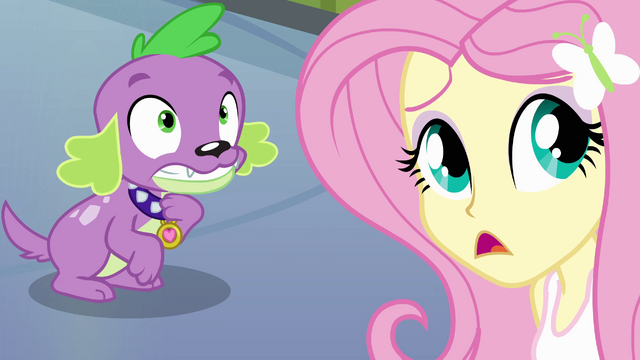 File:Fluttershy confused EG.png