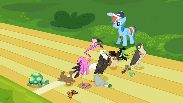 File:Rainbow Dash and animals S2E07.png