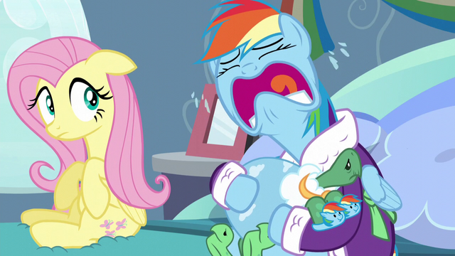 File:Rainbow Dash starts crying again S5E5.png