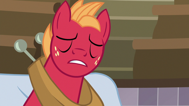 File:Big McIntosh gives his first "nnnope" S6E23.png