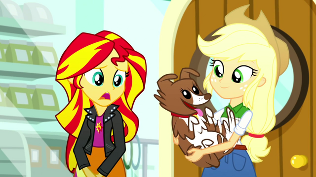 File:Sunset Shimmer "I don't have a pet" SS7.png
