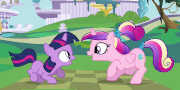 172179 - animated candence filly princess cadence twilight sparkle.gif