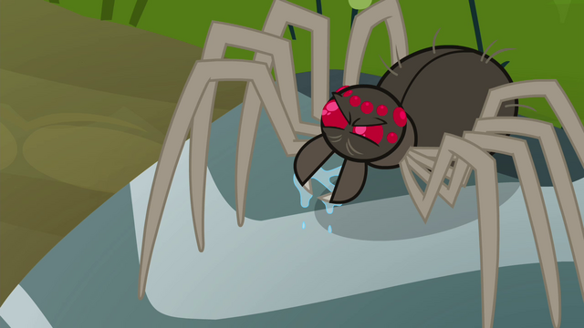 File:Spider looking intimidating S4E18.png
