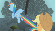 Applejack holds Rainbow back by the tail S1E07