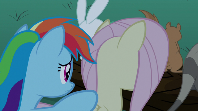 File:Rainbow Dash tapping on Fluttershy S6E15.png