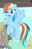 Rainbow Dash ID 2.png