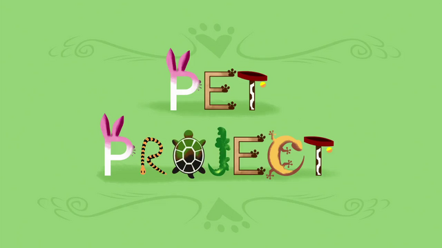File:Pet Project title card SS7.png