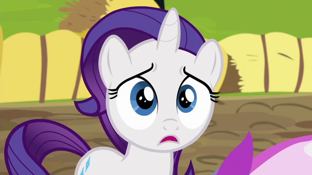 File:Filly Rarity in distressed shock S6E14.png